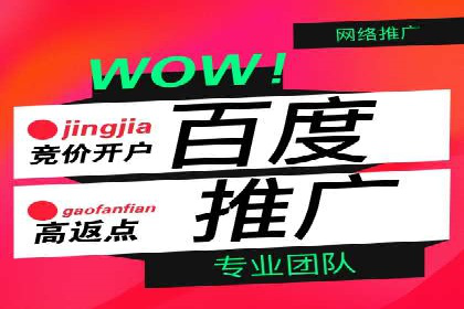 竞价开户策略：成功案例解读